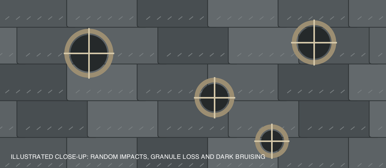 Illustration of random hail impacts and granule loss on roof shingles